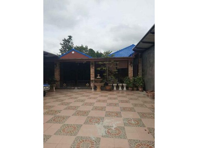 T01511 ให้เช่าบ้านเดี่ยว บ้านร้องเม็ง สันทราย