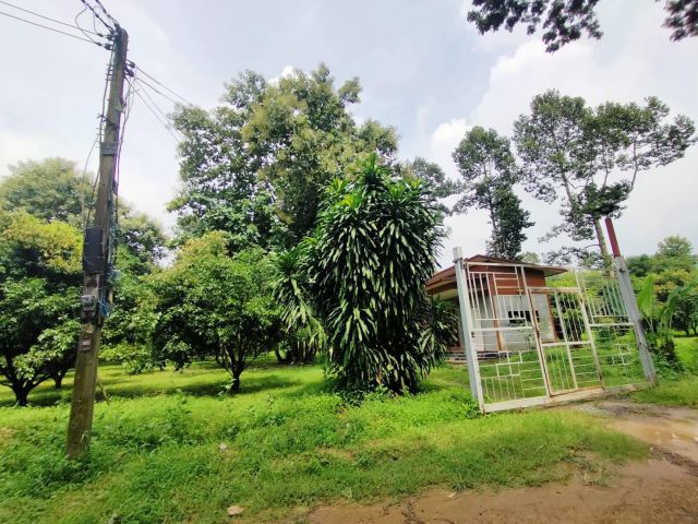 ขายที่บ้านสวนเขาเพิ่ม 10-2-23ไร่ เหมา 9ล้าน ต.เขาเพิ่ม อ.บ้านนา จ.นครนายก - ที่ดินเป็นบ้านสวนมีบ้าน1หลัง