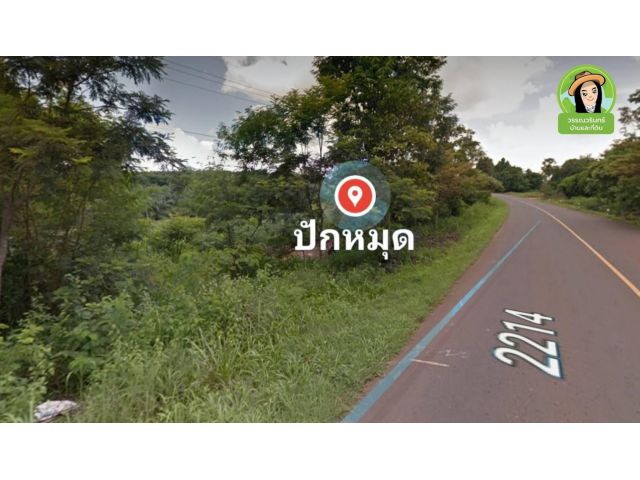 ที่ดินติดถนนลาดยาง อ.น้ำยืน 500,000 บาท