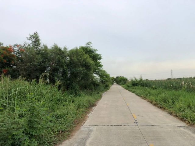 ขายที่ดินราคาถูก 100 ตรว. คลอง 8 ติดถนนคอนกรีต ใกล้ถนนเส้นรังสิต-นครนายก(305) - 900 เมตร จ.ปทุมธานี