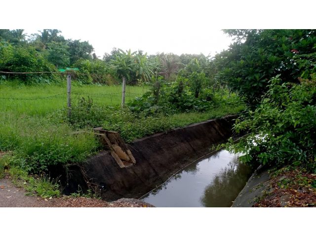 ขายที่ดินบ้านแม่โป่งดอยสะเก็ตหลังที่ว่าการอำเภอดอยสะเก็ต