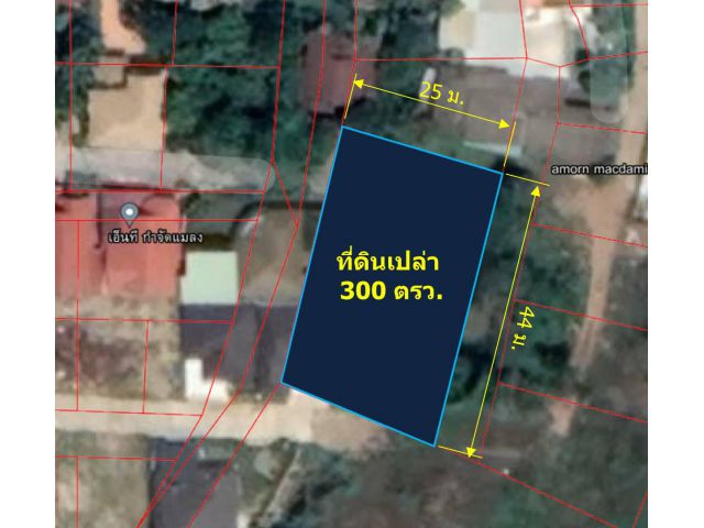 ขายที่ดินเปล่า  300 ตรว.ต.ท่าวังตาล  อ.สารภี  จ.เชียงใหม่
