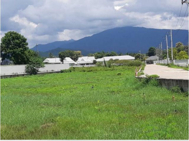 ขายที่ดิน 4 ไร่หน้าติดถนนหลวง คันคลองชลประทาน จ.เชียงใหม่