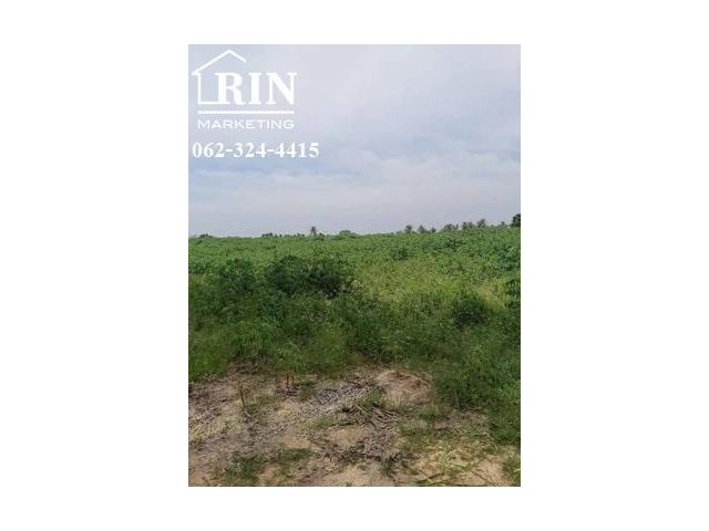 ที่ดิน 2 ไร่ ต.ตะเคียนเตี้ย  อ.บางละมุง ชลบุรี