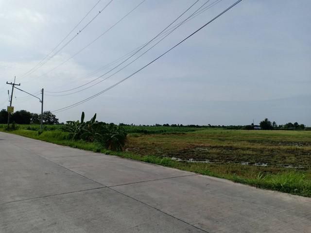ขายที่ดินบ้านบึง 100 ไร่ ติดถนนคอนกรีต ราคาไร่ละ 2.5 ล้านบาท จ.ชลบุรี