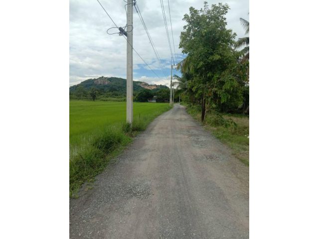 ขายที่ดินวิวภูเขาชะอม 12ไร่ ไร่ละ8แสน ต.ชะอม อ.แก่งคอย จ.สระบุรี - ที่ดินติดทางสาธารณะวิวภูเขาหน้ากว้าง
