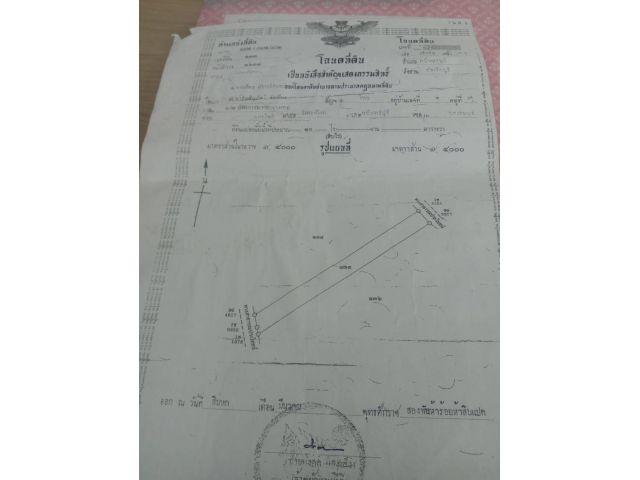 ขายถูกที่ดินคะเคียนเตี้ย 10 ไร่ เหมา 2 ล้าน ต.ตะเคียนเตี้ย อ.กบินทร์บุรี จ.ปราจีนบุรี  ที่ดินติดถนนสาธารณะ
