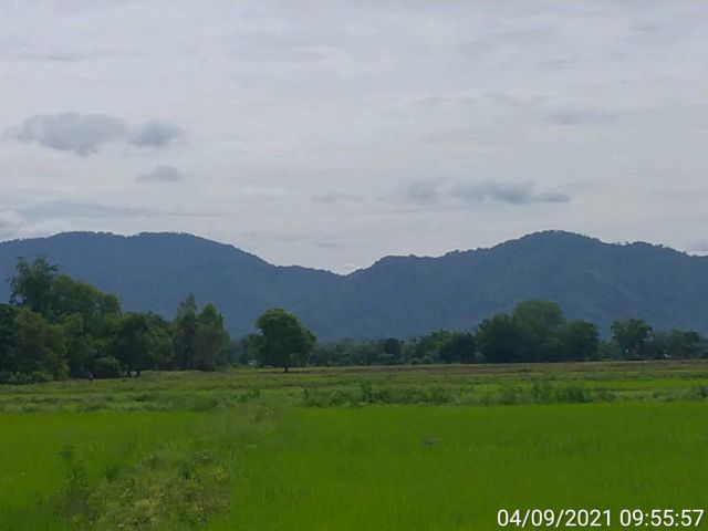 ขายที่ดินวิวภูเขาบ้านพริก 28-1-77ไร่ ไร่ละ 4.8แสน ต.บ้านพริก อ.บ้านนา จ.นครนายก  ที่ดินแปลงสี่เหลี่ยมสวย วิวภูเขา