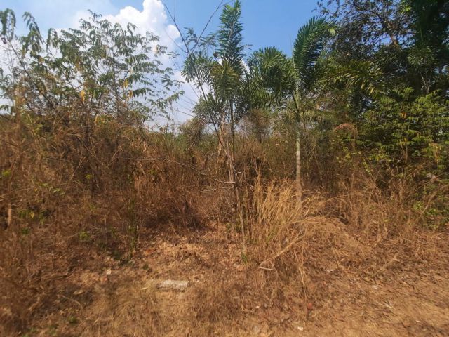 ขายที่ดิน 97.7 ตรว. ยกแปลง 200,000 บาท ใกล้ถนน 3003 - 80 เมตร จ.ฉะเชิงเทรา