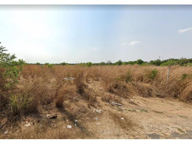 ขายที่ดินอ. พนมสารคาม 2 ไร่ ซอยวัดหนองรีติดถ. คอนกรีต จ. ฉะเชิงเทรา