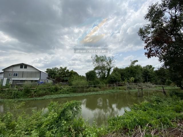 ขายที่ดิน 104.1 ตร.วา เลียบคลอง6 ลำลูกกา