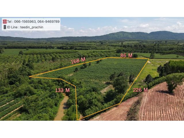 ขายที่ทำสวน ที่ทำเกษตร ที่ติดคลอง ใกล้ชุมชน ที่เป็นที่ดอน เขตนาดี เนื้อที่ 10 ไร่