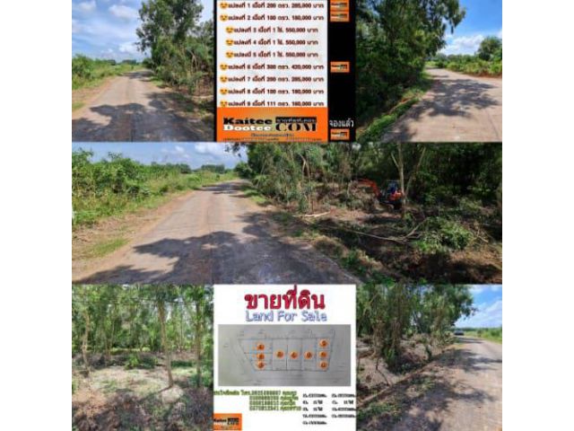 ขายที่ดินสวนป่า ติดถนนคอนกรีต วิวชายทุ่ง