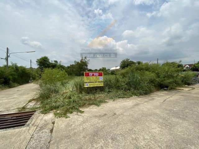 ขายที่ดิน 50-150 ตร.วา ใกล้คลอง 6 ลำลูกกา