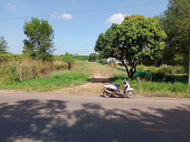 ขายที่ดินพนมสารคาม 3 ไร่ ติดถ. ลาดยาง ใกล้ถ. เส้น319 -1 กม. จ. ฉะเชิงเทรา