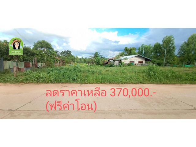 ลดๆๆราคาเหลือ 370,000 ที่ดินสร้างบ้าน พิกัดบ้านห้องข่า/ยโสธร