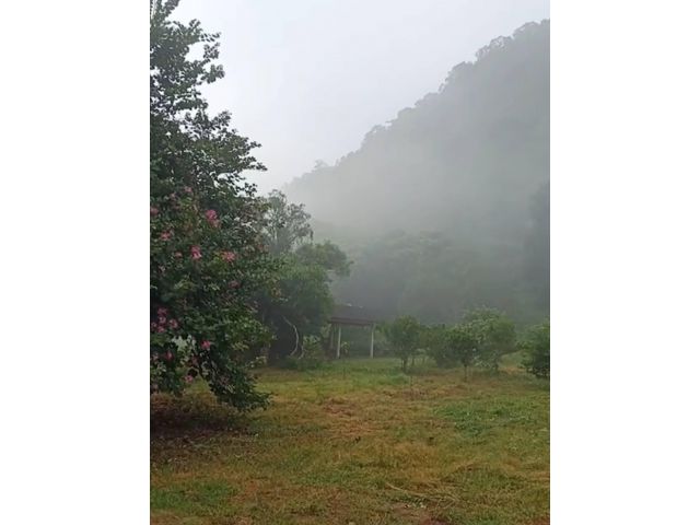 ขายที่เขาใหญ่ 1 ไร่ 71ตร.ว หลังติดเขา อ.หมูสี ปากช่อง ใกล้แหล่งน้ำผุดธรรมชาติ จากถนนธนรัชต์ 2.2 กม. เหมาะทำบ้านพัก 087-9