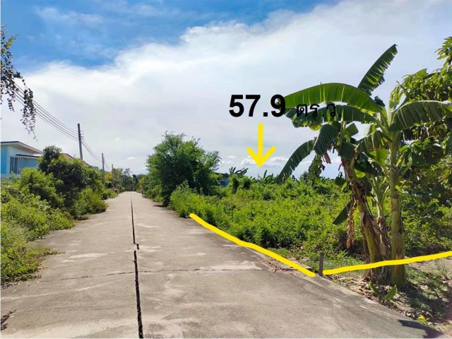 ที่ดินหนองเพรางาย 57.9 ตรว.ที่ดินจัดสรร เข้าซอยลาดปลาดุกใกล้คลองมหาสวัสดิ์