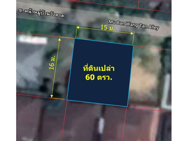 ขายที่ดินเปล่า  60 ตรว.  (ม.วังตาล ต.สันผักหวาน อ.หางดง จ.เชียงใหม่)