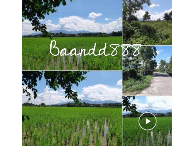 ขายที่ดินสวย 324 ตรว.ตรงข้าม รพ.สันทราย