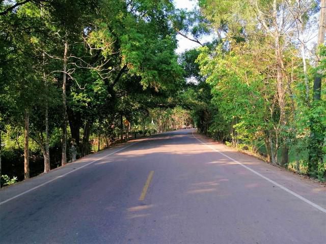 ขายที่ดิน 20 ไร่ มีผลไม้และไม้มีค่า  ปราจีนบุรี
