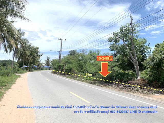 @@@ขายที่ดิน พัทยา ชลบุรี เนื้อที่ 15.5ไร่ ทุ่งกลม-ตาลหมัน@@