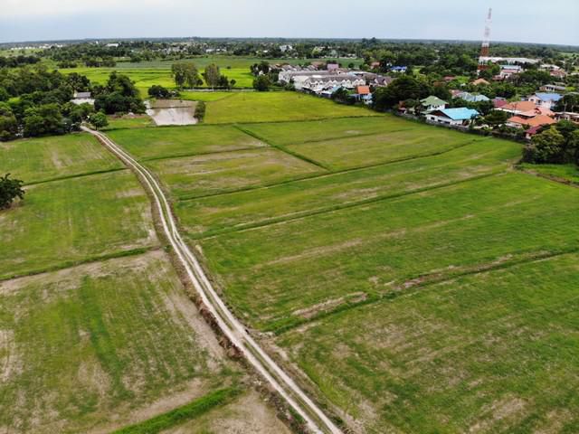ขายที่ดินเมืองนครนายก 22.5 ไร่ ใกล้ถนนสุวรรณศร 33 เพียง 600 เมตร จ.นครนายก