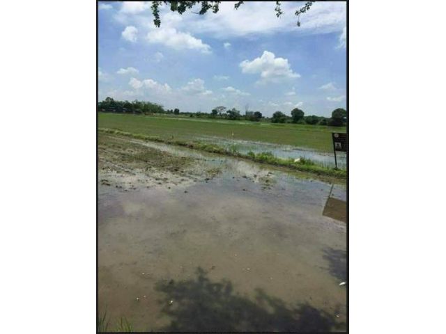 ขายที่ดิน ธัญบุรี ปทุมธานี 40ไร่ 4โฉนด