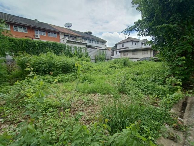 Land for sale sukhumvit 71 ขายที่ดิน สุขุมวิท71 ปรีดีพนมยงค์ 14 159ตร.ว ใกล้ BTS พระโขนง แปลงสวย เหมาะสร้างบ้าน ขายถูก!!