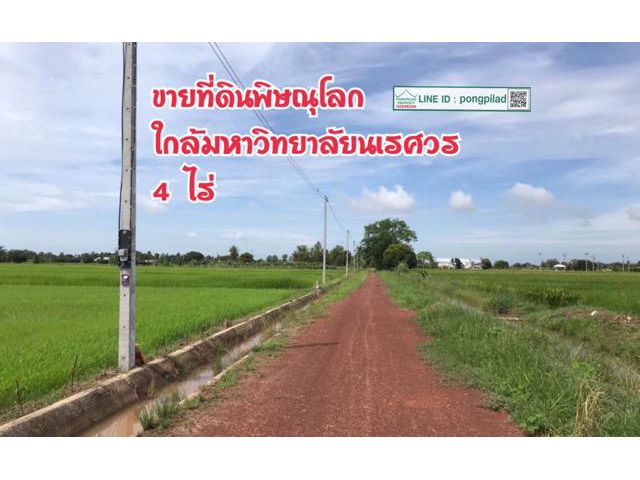 > ขายที่ดินพิษณุโลก ใกล้มหาวิทยาลัยนเรศวร 4 ไร่ ไร่ละ 1.1 ล้านบาท