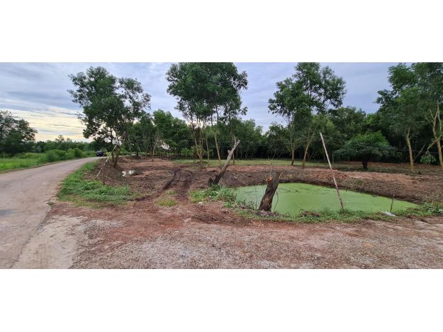 ขายที่ดิน 111 ตรว. ราคา 160,000 บาท ติดถนนคอนกรีต 2 ด้าน วิวชายทุ่ง บรรยากาศดี