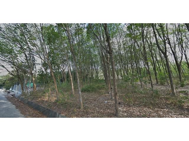 ขายที่ดิน 5 ไร่ ราคาไร่ละ 1,500,000 บาท ใกล้ถนน 4006 - 100 เมตร ติดถนนคอนกรีต อ.บ้านค่าย จ.ระยอง