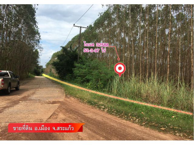 ที่ดินพร้อมสวนยูคา 53 ไร่ ต.หนองบอน อ.เมืองสระแก้ว ราคาต่อไร่ถูก!