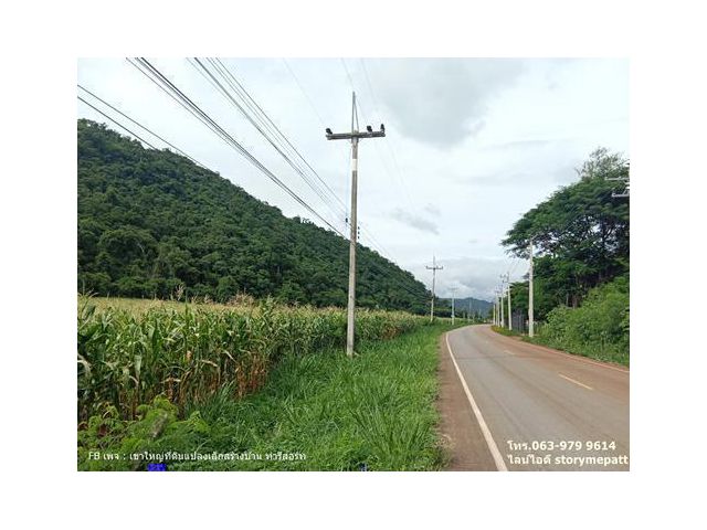 ที่ดินเขาใหญ่ริมถนนโซนเขาวง 4ไร่ (มีที่ดินเกินติดเขาเกือบ 2 ไร่) เยื้องสถาบันผู้นำ CP ด้านหลังติดเขา