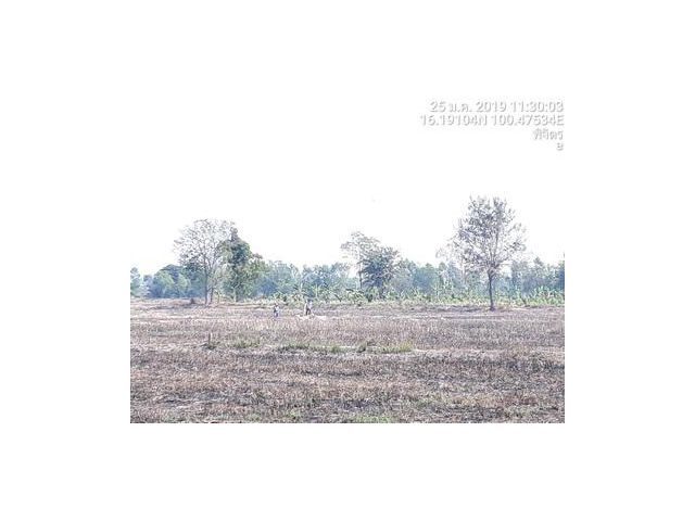 ที่ดิน  ตำบลวังหลุม อำเภอตะพานหิน จังหวัดพิจิตร