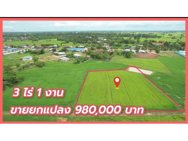 ขายที่ดินโฉนด 3 ไร่ ในเทศบาลเมืองยาง นครราชสีมา
