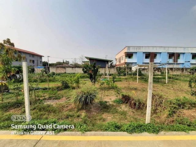 ที่ดินสวยๆ หลัง ม.แม่โจ้ ขนาด 3 งาน 89 ตรว.