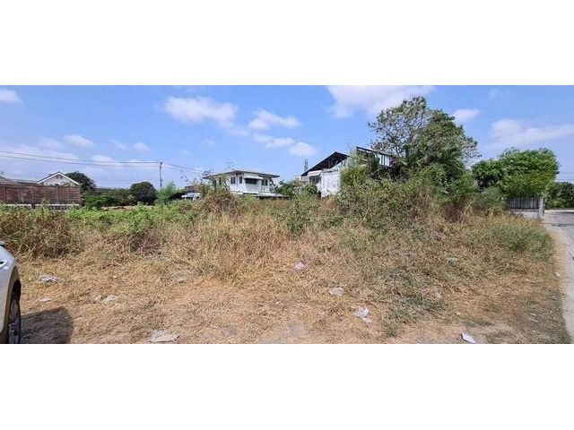 ที่ดินถมแล้วขาย ซอยสวนผัก ย่านตลิ่งชัน