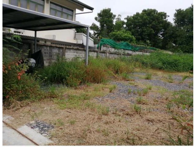NT028 ขายที่ดิน 129 ตรว ถมแล้ว ซอยปรีดีย์พนมยงค์ สุขุมวิท71