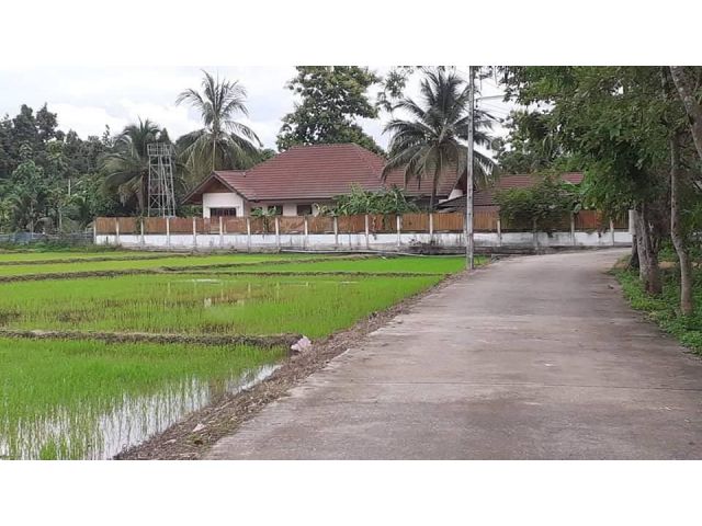 ขายที่นาบ้านดอยซิวห้วยทรายสันกำแพง ติดลำเหมืองราคาถูก