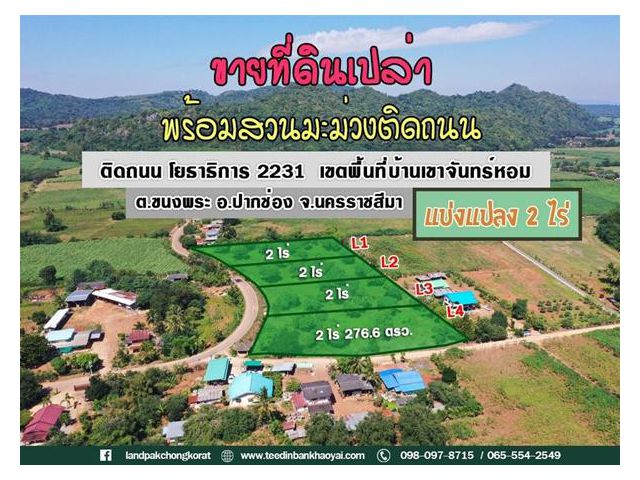 ขายที่ดินแบ่งแปลงขายเขาใหญ่ #พร้อมสวนมะม่วงติดถนน #ถูกที่สุดในย่านนี้ #วิวเขาล้อมรอบ