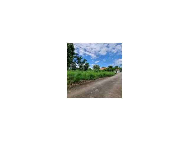 ขายที่ดินแม่ริม ใกล้แยกดอนแก้ว  เนื้อที่ 80 ตร.ว. ราคา 1.5ล้าน