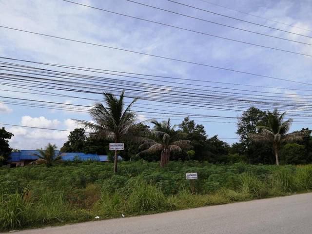 ขายที่ดินอ.บางละมุง 3 ไร่ ติดถ.เส้นหนองสะเดา 2 ด้าน ใกล้ถนนสุขุมวิท(3) - 1 กม. จ.ชลบุรี