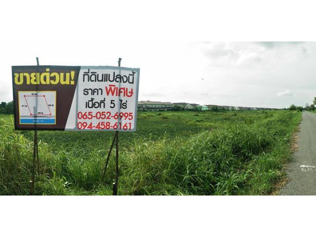 ขายที่ดิน 5 ไร่ ติดถนนคลอง 10 ธัญบุรี ปทุมธานี