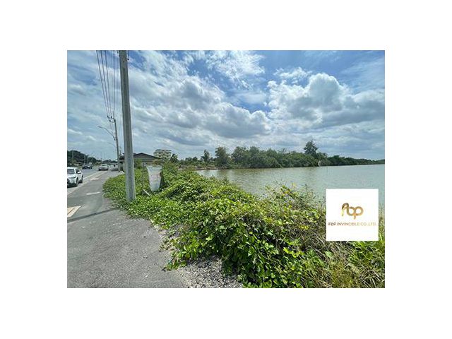 ขายที่ดินผืนใหญ่ 47ไร่ 3งาน 81ตรว. ใกล้สุวรรณภูมิ เขตลาดกระบัง กรุงเทพ โทร 0805987962