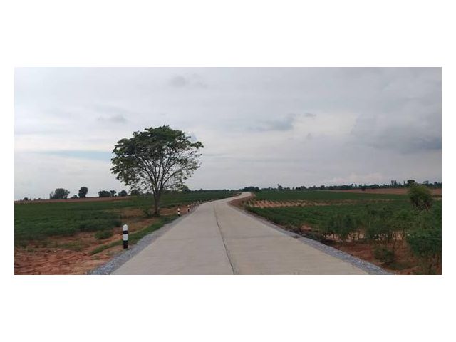 ขายที่ดิน ต.บ้านไร่ อ.ลาดยาว จ.นครสวรรค์ ราคาไร่ละ 120,000 บาท