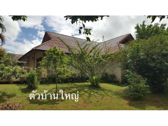 ขายบ้านสวนเชียงราย นางแล พร้อมที่ดินกว้าง 2 ไร่ 2 งาน อ.เมืองเชียงราย ใกล้ ถ.พหลโยธิน 1.8 กม. จากสนามบินเชียงราย 10 นาที
