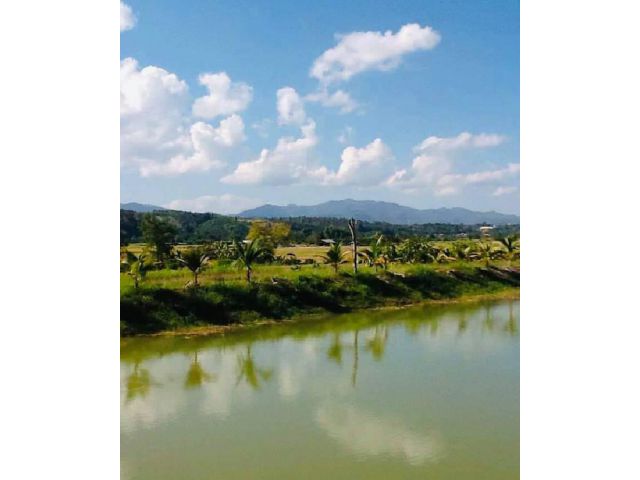 ขายถูก เหมือนให้ฟรี ที่ดินพร้อมบ้านสวน 6 ไร่ อ.พร้าว เชียงใหม่ วิวภูเขา ติดถนนหลัก พร้าว-เชียงใหม่ ที่สวยมาก เหมาะซื้อลง