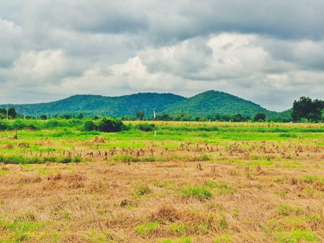ขายที่ดิน**วิวเขาสวย (ใกล้วัดเขาดีสลัก) พื้นที่อุดมสมบูรณ์และมีความเจริญแต่ไม่แออัด เหมาะสร้างบ้านสวนยามเกษียณ