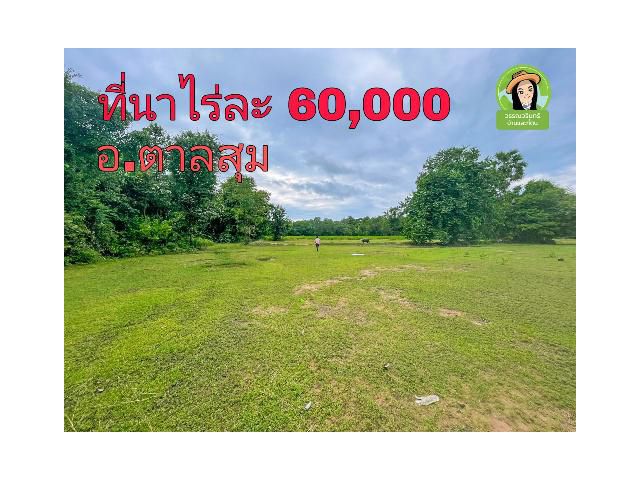 ที่ดินราคาถูกไร่ละ 60,000 บาท